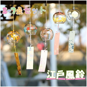 yz!X[p[SALEz KX 蕗 Jt 5Zbg yމĂ̕  CeA ݂₰ Mtg 蕨 蕨  K^炷  Ă̕