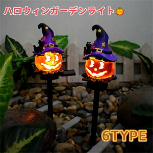 yP2{I26802626~ 11/11܂ŁznEB  K[fCg 2{Zbg O h ߍݎ 2[h _  ȃGl Ɩ    ͋C 胉Cg v