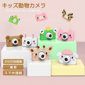 yVLOiIzy2400fzJ qp LbYJ gCJ X}zڑA  u^ fW^J gCJ  ptBt qǂav[g 