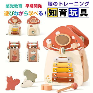 yRXpōI5{ϕI11/17܂Łzeb\[  eb\[ ؂̂ ςݖ ^͂ `F FF ʕ   ͂߂ `킹 wP ]g m炨