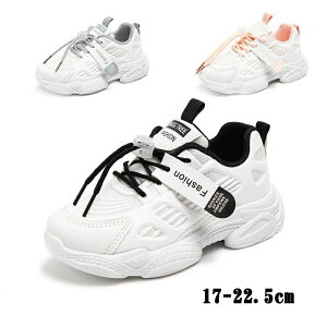 y2780~2724~ P2p! 11/27 01:59zLbY Xj[J[ j̎q ̎q Xj[J[  K _炩 qp EH[LOV[Y ʋC X|[cV[Y ~ ^C ʊw