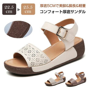 yRXpōI5{ϕI11/17܂ŁzT_ C fB[X X|[cT_  Ȃ X|T T_ ANXgbv  V[Y T_ Xj[J[ T_