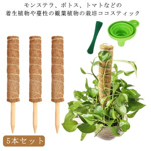 yVLOiIzRRXeBbN Xe x RRibc 5{Zbg Ax ϗtA x A K[fjOp  Ԃ A  ؐ RRibcx x K[fj