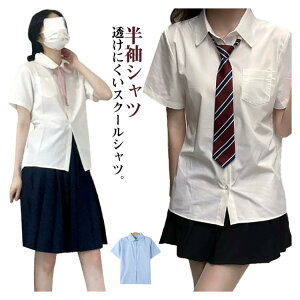 yRXpōI5{ϕI11/17܂Łzp Vc CVc q wVc w Z jk  w K[Y ۋ XN[Vc  ItBX 30 jtH[ 10 20 w O