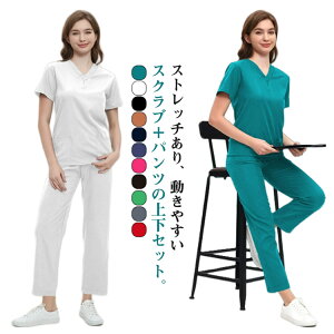 yVLOiIzt XNu i[X ㉺Zbg m fB[X i[X ×p  Ōt Lk  Ōw XNuZbg ZbgAbv i[XEFA   