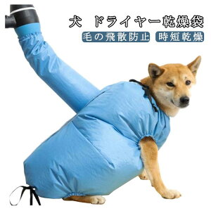 yz!X[p[SALEzhCEFA EGA ybgp  hC[obO  C hC[ EFA Ckp  Cオ hC[ hC[   