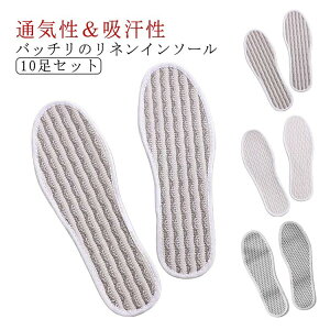 yRXpōI5{ϕI11/17܂ŁzC\[ l ~  10Zbg Y L Xj[J[ vC fB[X z ʋC C̒~