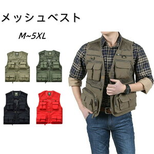 yRXpōI5{ϕI11/17܂ŁzbVxXg Y AEghA xXg  xXg @\ tBbVOxXg ނ Be R @\ ނ oR 傫TCY ~^[ 