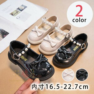 yP2{I40803998~ 11/11܂ŁztH[}V[Y qC sAm\ C LbY V[Y  p[fB[ ܎O w Zj[ ̎q _XC JWA