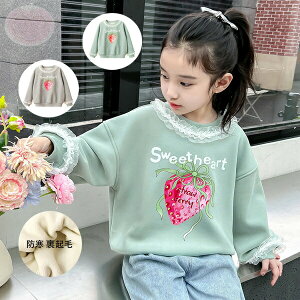 yVLOiIzq h N XEFbg g[i[ 킢  XEFbg OCO[ O[  ێ g[i[  qǂ K[Y gbvX 