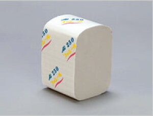 ЎŊȒP@t@V[AQ250@250i2dj@24pbN