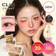 ＼9/10限定20%クーポン有★P10倍+特典付／【新コレクション発売】プロ アイ パレット エアー【CLIO（クリ…