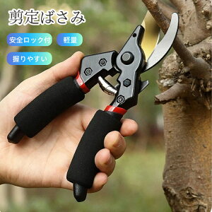庭木剪定 ハサミ 軽量」の人気商品一覧・価格比較 - 価格.com