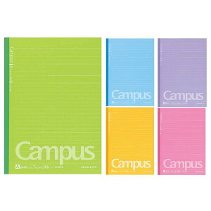 y1000~ȏエグőzRN LpXm[g hbgr 5pbN B5 Br 30 m-3CBTNX5 - [֔