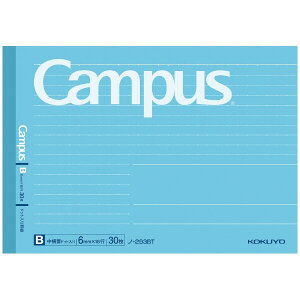 y1000~ȏエグőzRN LpXm[g B6 Brhbg 6mm 16s 30 n[tTCY u[ - [֔