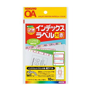 y1000~ȏエグőzRN CNWFbgx nKL CfbNX910 - [֔