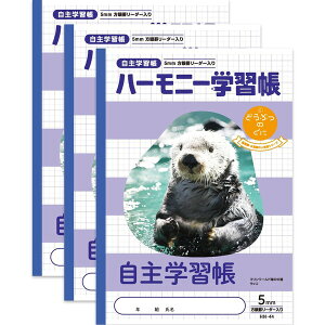 y1000~ȏエグőzn[j[wK ǂԂ̂ wK 5mm HN-44 3Zbg B5 bR }[h 3N 4N 5N 6N - [֔