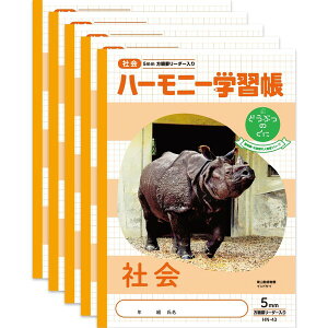 y1000~ȏエグőzn[j[wK ǂԂ̂ Љ 5mm HN-43 5Zbg B5 ChTC RA 3N 4N 5N 6N - [֔