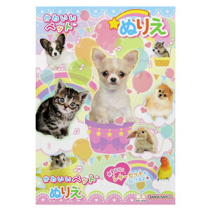 y1000~ȏエグőz킢ybg B5 ʂ肦 hG  L  CXg { v[g m TX^[ - [֔