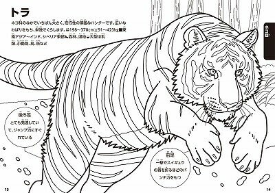 楽天市場 送料無料 トーヨー 動く図鑑 Move 学べる ぬりえ おりがみ これで君も博士 セット メール便発送 Clips クリップス