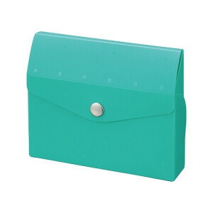 y1000~ȏエグőzqgu CUBE FIZZ J[hP[X 20^Cv O[ g RpNg h  [ - [֔