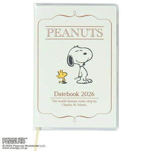 y1000~ȏエグőzXk[s[ 2026N 蒠 |PbgfCgubN ԃubN V[t Jo[t 10n܂ 킢 TI - [֔