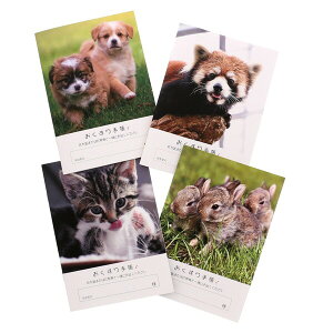 薬 手帳 かわいい 生活雑貨の人気商品 通販 価格比較 価格 Com 薬 手帳 かわいい 生活雑貨の人気商品 通販 価格比較 価格 Com
