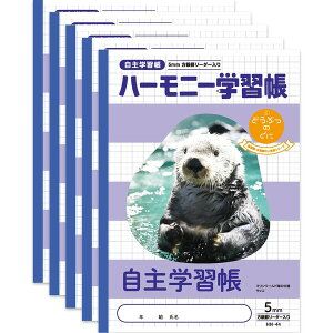y1000~ȏエグőzn[j[wK ǂԂ̂ wK 5mm HN-44 5Zbg B5 bR }[h 3N 4N 5N 6N - [֔