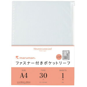 y1000~ȏエグőz}} t@Xi[t|Pbg A4 30 tB - [֔