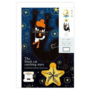 y1000~ȏエグőz\ ˂ӏ r[J[h The black cat catching stars - [֔