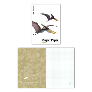 y1000~ȏエグőzILi vWFNgm[g _Ci\[ A5 vemh PN3809 - [֔