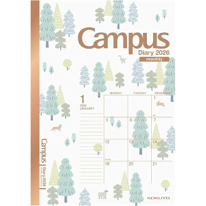 y1000~ȏエグőzRN 2026N LpX_CA[ X^_[h^Cv }X[ B6 蕿 - [֔