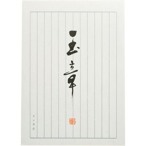 y1000~ȏエグőzpsX a ʏ B5TCY c 12s 40 30 - [֔