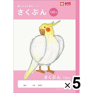 yzy5Zbgz wK B5 Ԃ 120 NJ105 앶 m[g Ē×S wZ 킢 TNNpX - [֔