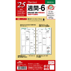 y1000~ȏエグőz_EB` 2025N VXe蒠 tB  T6 DR2516 - [֔