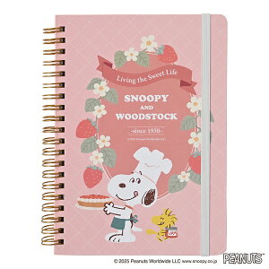 y1000~ȏエグőzr[GXGX Xk[s[ u&XC[c V[Y oht B6 m[g B - [֔