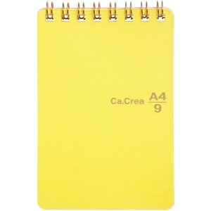 y1000~ȏエグőzvX J.NG cCO A4×1/9TCY 5mmr 40  RT-740GC - [֔