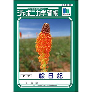 y1000~ȏエグőzVEm[g W|jJwK GL ^e 10s JL-46 - [֔