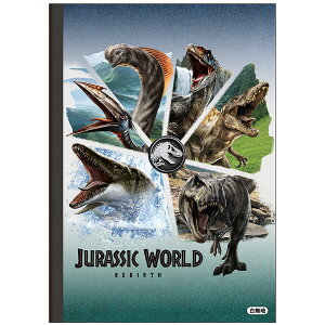 y1000~ȏエグőzWVbN[h t[m[g R B5 64y[W  _Ci\[ lC f w wpi VEm[g - [֔