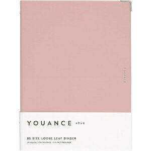 yz}} oC_[ AX B5 26 CgsN F119-38 - [֔