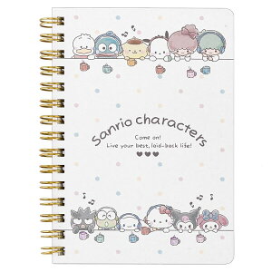 y1000~ȏエグőzTILN^[Y A6 Om[g 70 Ar/7mmr v/N~/Vi[  RpNg 킢 - [֔