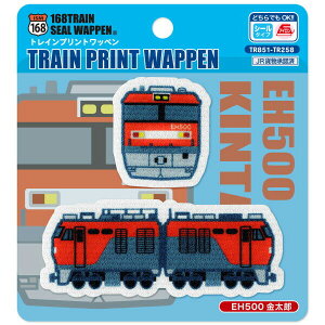 �y1000�~�ȏエ�����グ�ő���������z�p�C�I�j�A �g���C���v�����g���b�y�� EH500 �����Y �A�C�����E�V�[�����p - ���[���֔���