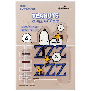 y1000~ȏエグőzXk[s[  ubN}[N ALLGOOD REST 킢 z[}[N - [֔