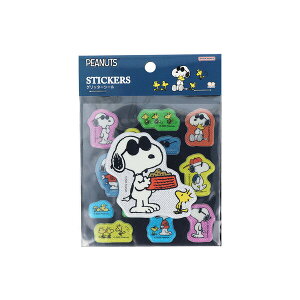 y1000~ȏエグőzXk[s[ V[ Ob^[V[ New Life Collection EbhXgbN W[EN[ TX^[ - [֔