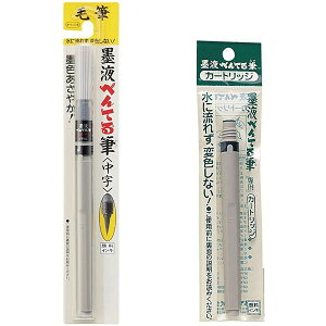 y1000~ȏエグőz؂Ă MyJ[gbWZbg nt XFP6L XFP-AD - [֔