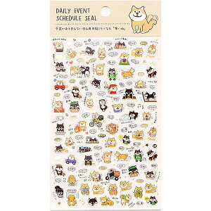 y1000~ȏエグőzXPW[V[ Ă  Ck NA^Cv PETf \ 蒠 J_[ fR[V 킢 pCubN - [֔