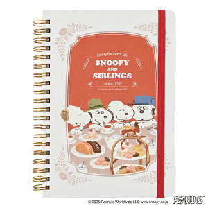 y1000~ȏエグőzr[GXGX Xk[s[ u&XC[c V[Y oht B6 m[g A - [֔