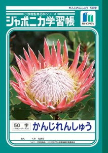 y1000~ȏエグőzW|jJwK 񂶂񂵂イ 50 \[_[ JL-48 - [֔