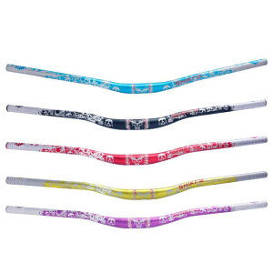 ]ԗpnh Obv A~ ^nho[ }EeoCN NXoCN 780mm    