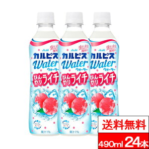 y  zy 1P[X zATq JsXEH[^[ Ђ胉C` 490ml 24{ JsXEH[^[C` C` Č Ⓚ ybg{g Ⓚۑ MǑ΍